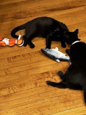 Two healthy and happy babies!