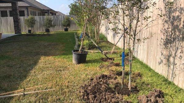 Garcia Lawn and Outdoor Services