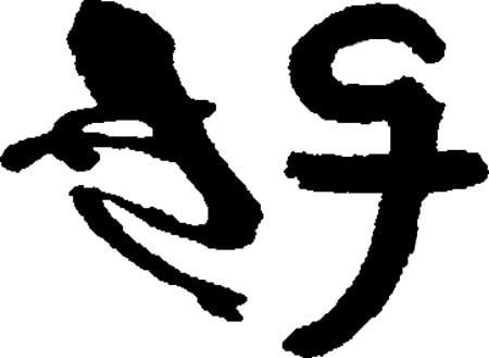 Essential Acupuncture & Wellness