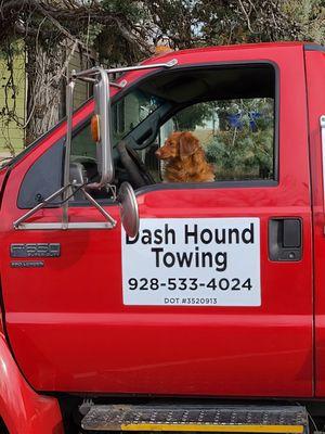 Dash Hound Towing