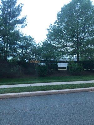 Western Union Financial Services