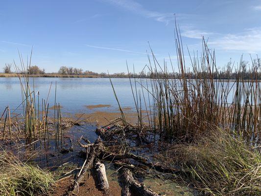 Mather Field Lake Regional Park