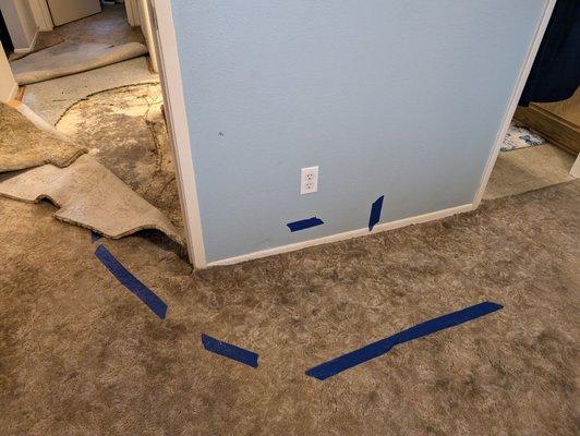 Thank you for your immediate assistance to detect the leak in the hallway.