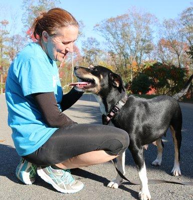 Cape Ann Animal Aid