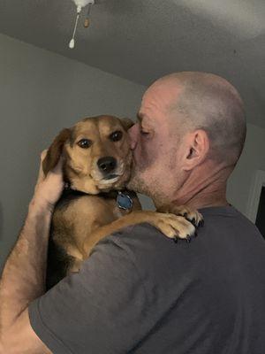 Triangle Pet Sitters