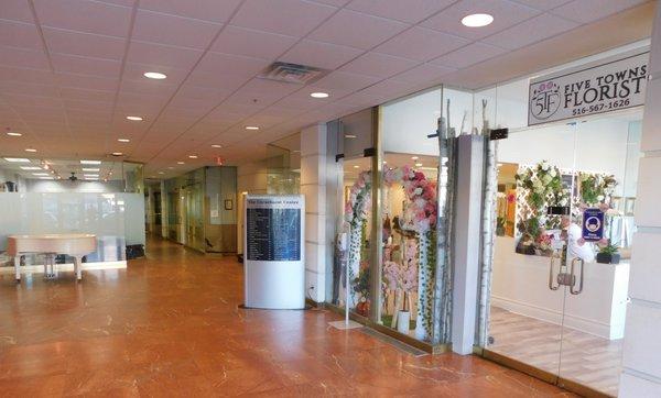 Andrews Property Management