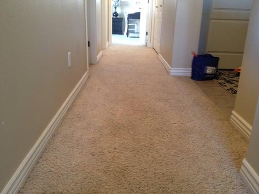 Critical Carpet Repair