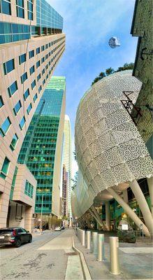 Care Essentials by Kaiser Permanente