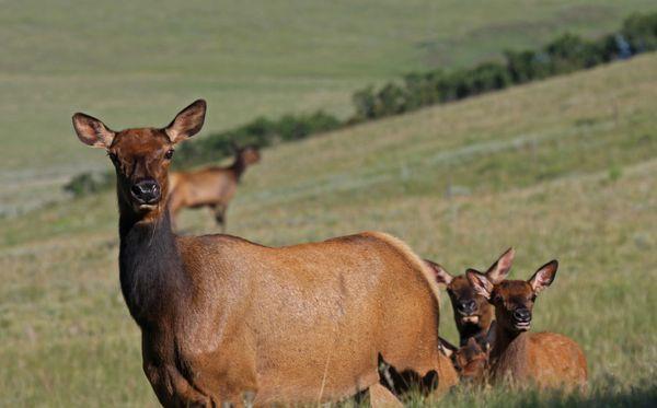 Short on TIME? Call now for a tailored tour of luxury properties so you can make the best of your stay in Telluride.Call/Text (970) 728-3205