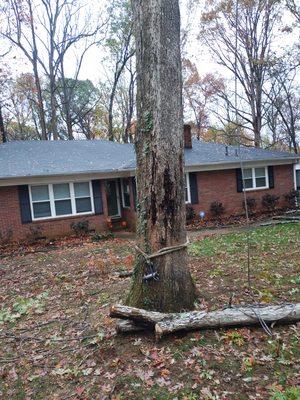 Spaulding Tree Service