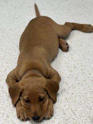 Simmi waiting her turn