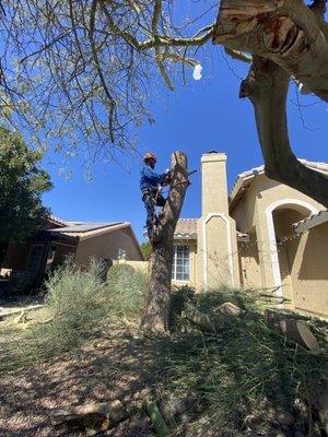 Jorge Pro Landscaping