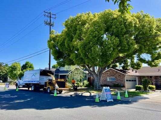 B&L SAFETY SET UP IN SAN JOSE