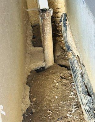 Bc Exterminating Services