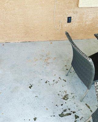 Squared Away Pressure Washing