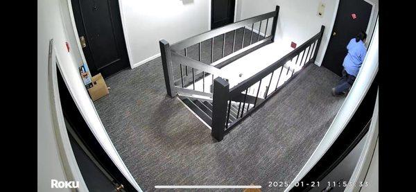 The Grove on Harcourt