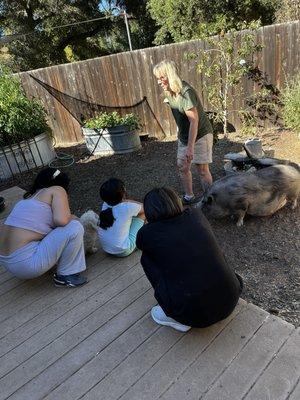 The girls loves this pig who lives in the house