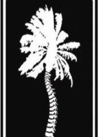 North Orlando Spine Center