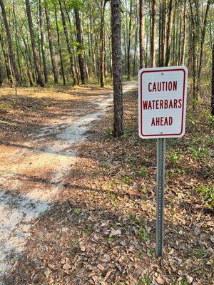 New waterbars (wood beams) along trail from crump to thornton, so watch your step.