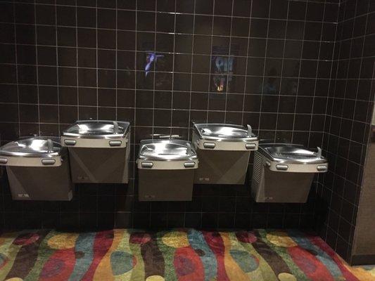 Five broken water fountains