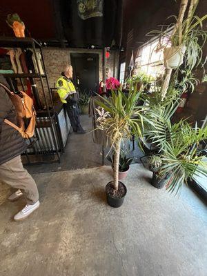 Plants! While waiting in line