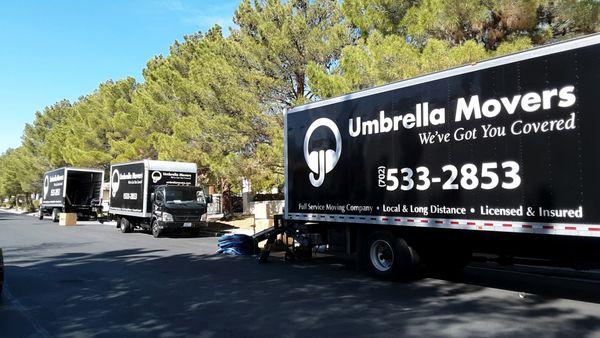 Umbrella Movers