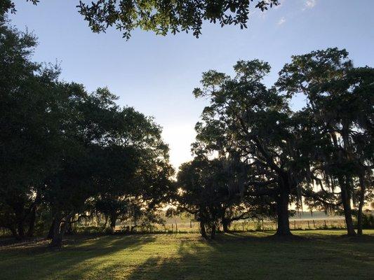 Suncoast Community Church