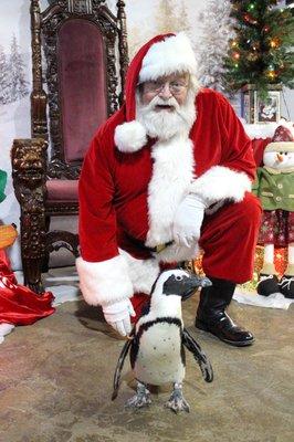 Long Island Aquarium