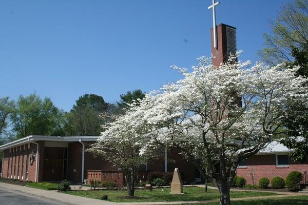 Saint Rose of Lima Catholic School