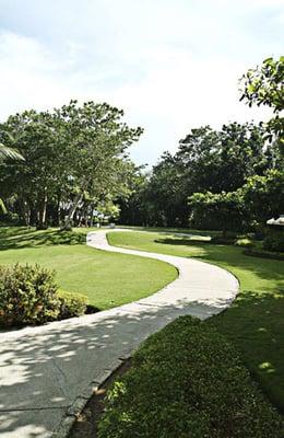 Forest Glenn Arborists