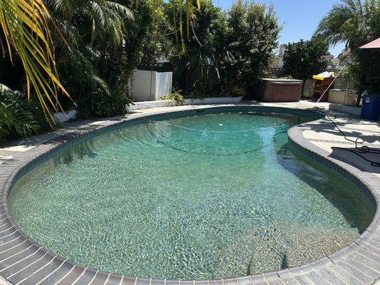 Tony Guy Pool Service