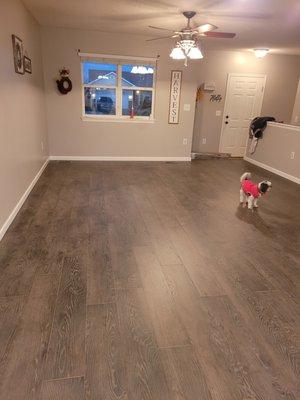 Ray's Painting & Remodeling