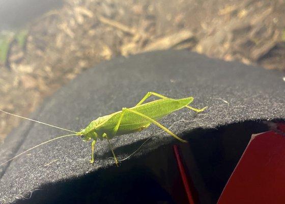 Bunker Hills Campground