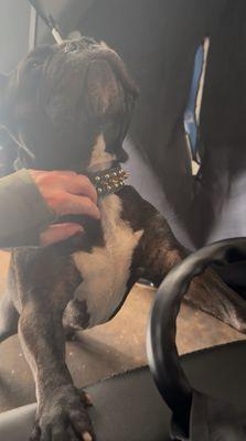 Stretch & Recovery Room