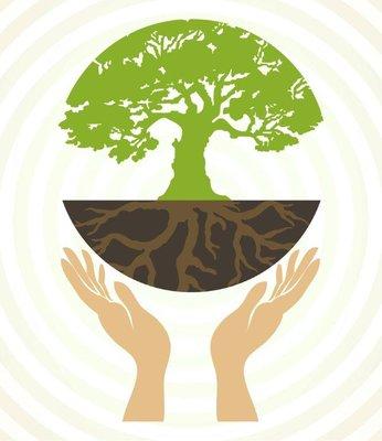 Tree of Life Healing Arts Studio