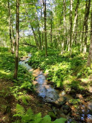 Lake Wissota State Park
