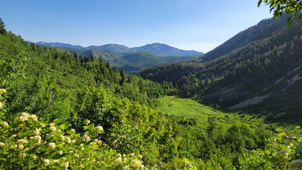 Scout Falls via Mount Timpanogos Trail