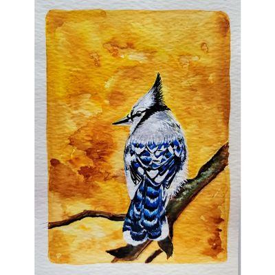 Watercolors Advanced Levels.