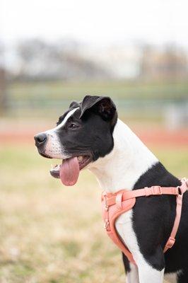 Amanda Gomez Photography