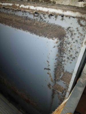 Pine View Apartments