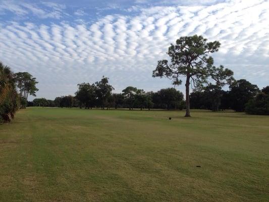 Lake Venice Golf Club