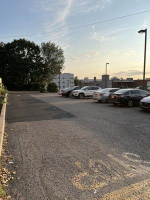 One Love Veterinary Clinic