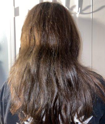 Blush Hair & Beauty Bar