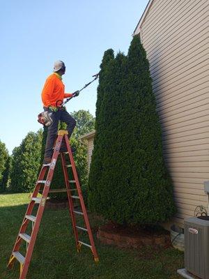 Pacos Lawn care Service