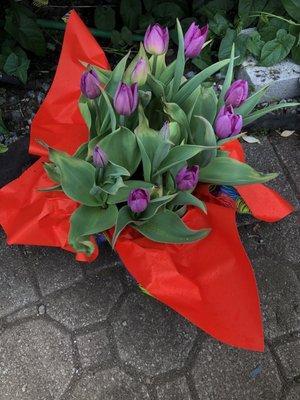 Lifetime Garden Center