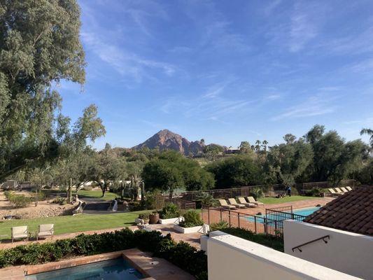 Gold Medal Tree Management