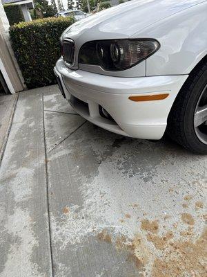 Pacific Auto Collision