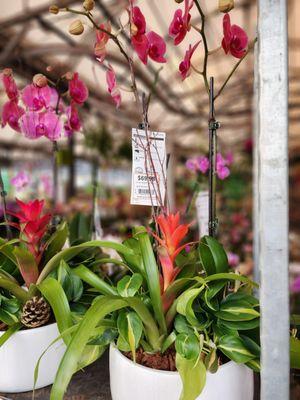 Home Services at the Home Depot