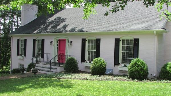 Ray Hite The Paint Pro