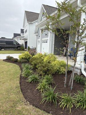 Forest Outdoor Living